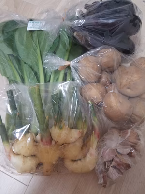 みんなの投稿の画像