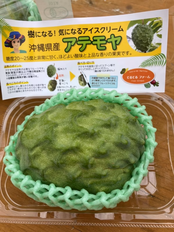 【有機ＪＡＳ認証取得・化学合成農薬不使用】樹になるアイスクリーム！アテモヤL玉