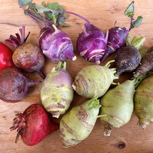 訳ありお得販売【無農薬・無肥料】コロコロ野菜セット限界集落｢田万里町からお届け｣