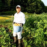 柳澤幹夫 | 柳澤農園