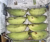 〔自然栽培〕ナムワ系バナナ6本〜