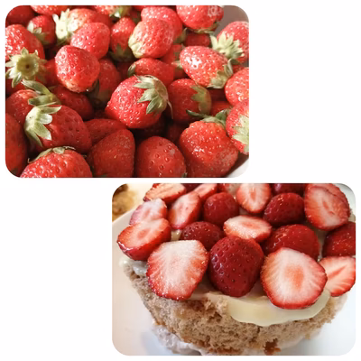 みんなの投稿の画像