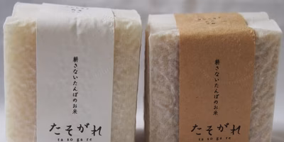 「ちょっとだけ、1回だけ」も叶う。#お試し/小サイズ のたしなみ