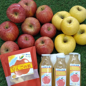 蔵出し★ふじ*シナノゴールド(ご家庭用約4kg)＆りんごの恵み