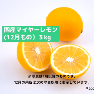 冬はホットレモネード！国産マイヤーレモン(3kg)