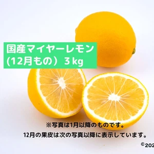 冬はホットレモネード！国産マイヤーレモン(3kg)