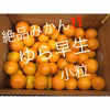 和歌山産 ゆら早生 みかん 小粒