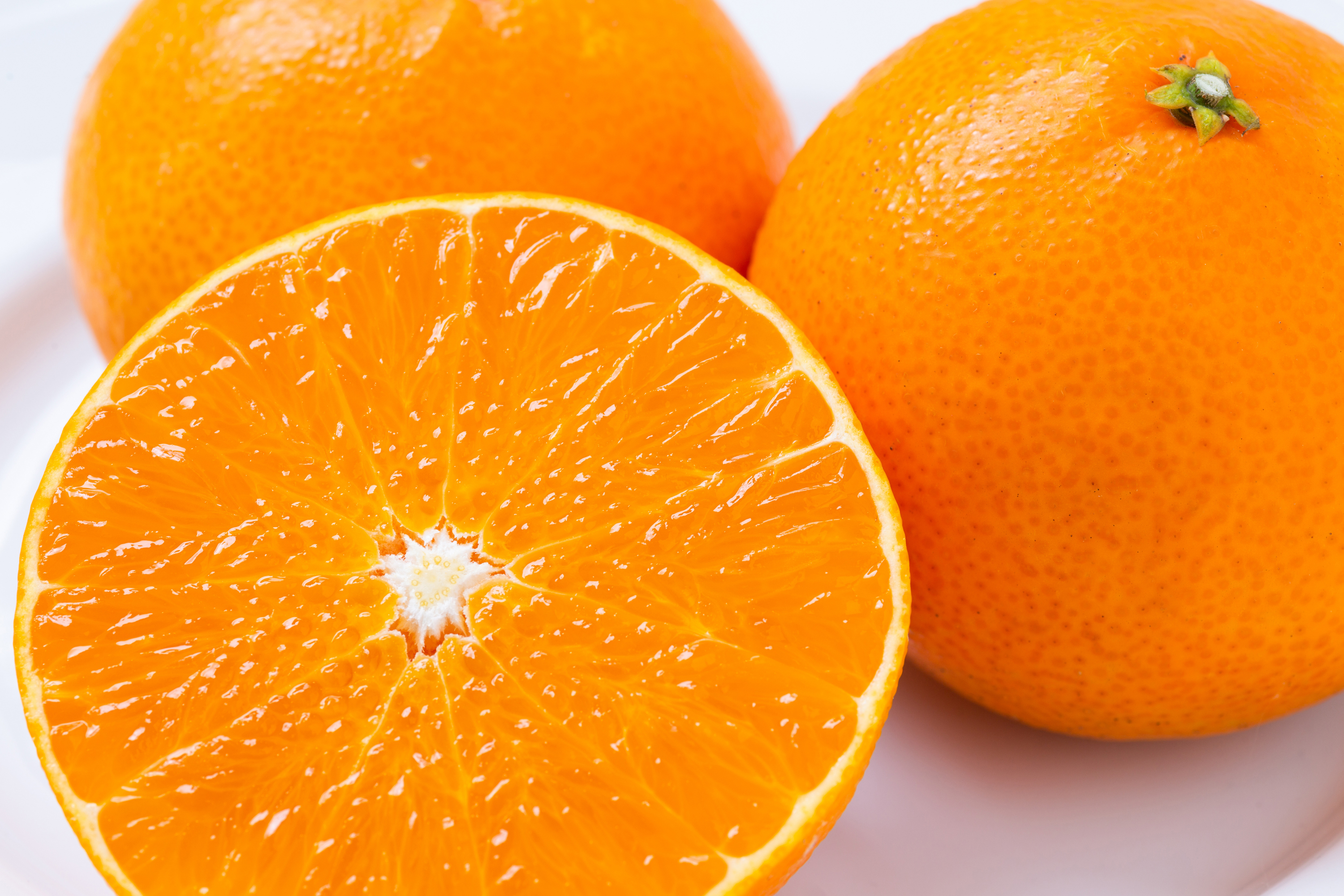 超人気❗️】まどんな（ご家庭用）※12月発送開始｜みかんの商品詳細