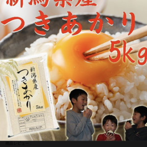 つきあかり&こしいぶき10kg(白米) 食べ比べセット令和二年産