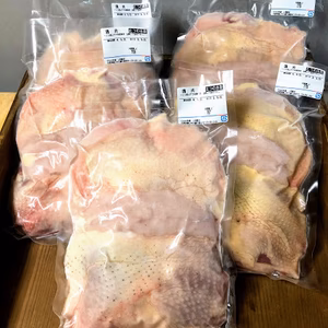 鶏肉　ほんものかしわ5羽セット　750