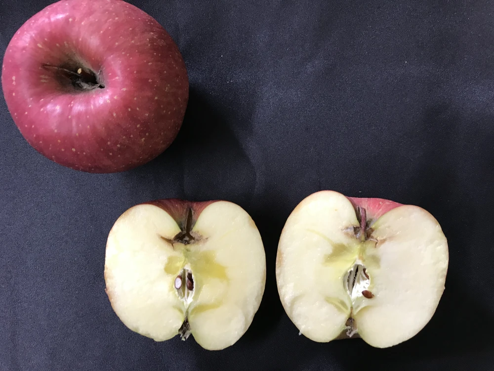 【人気商品】青森県産りんご「サンふじ」家庭用 きずあり 約3kg 