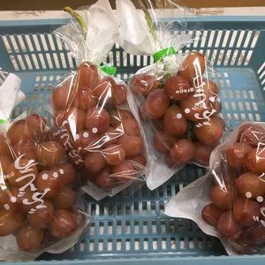 【訳有り】南信州産クイーンルージュ®  規格外品