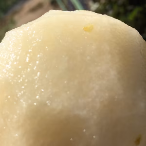 梨・二十世紀3kg家庭用