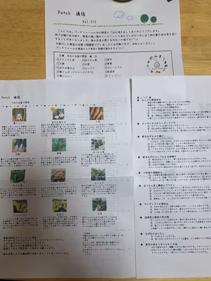 みんなの投稿の画像