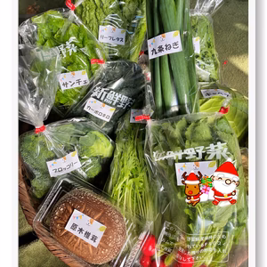【Xmas限定☆彡セット】たくさんの種類！ちょうどいい量！お料理好きの