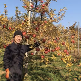 平野　悠広 | なんぶ平野農園