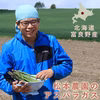 【朝採り！甘い！美味い！】富良野産アスパラガス1㎏