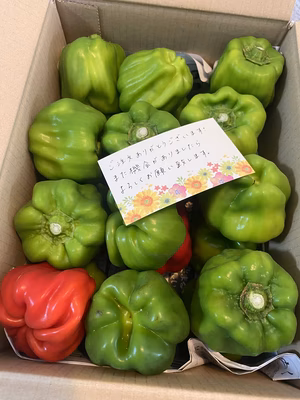 みんなの投稿の画像