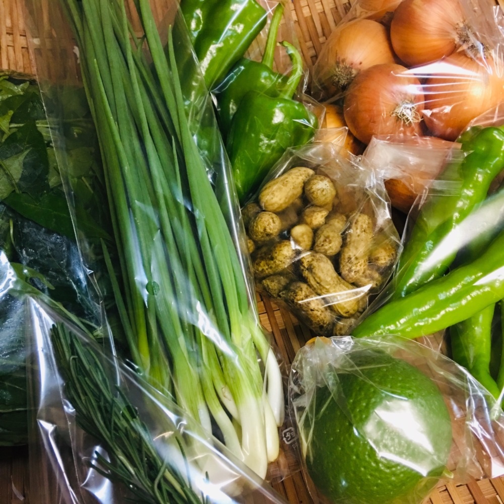 月1回定期発送 鴨さんの旬を届ける野菜セット 農家漁師から産地直送の通販 ポケットマルシェ