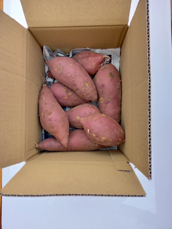 紅はるか。生芋。25日以上熟成。60サイズ箱込み1.8～2kg  