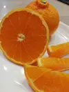 期間限定20！春柑橘【あすみ メロゴールド 麗紅】 3種類セット  