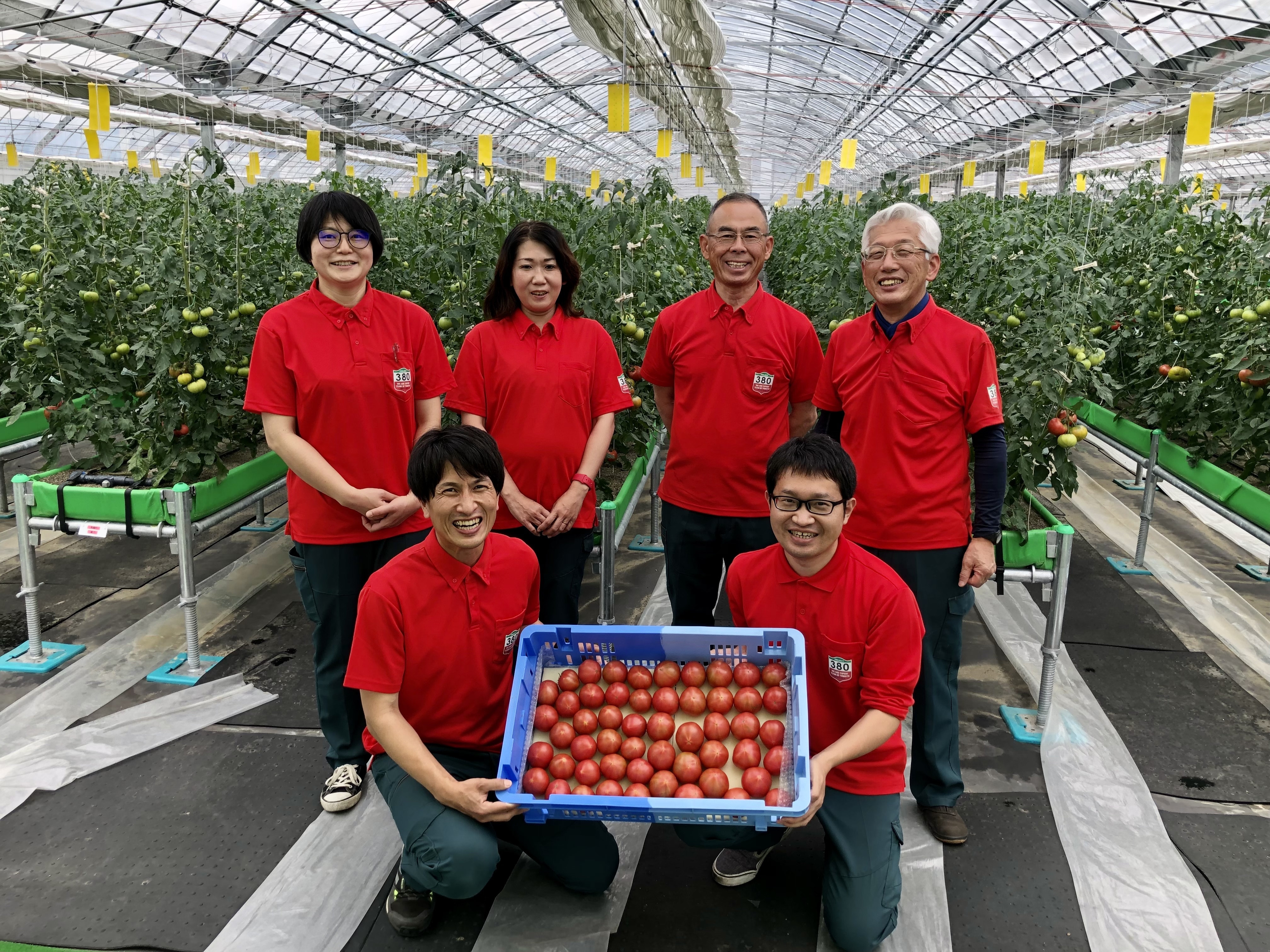 お試し】ずっしり❗️ジューシー❗️朝採り完熟トマト(規格外)｜野菜の