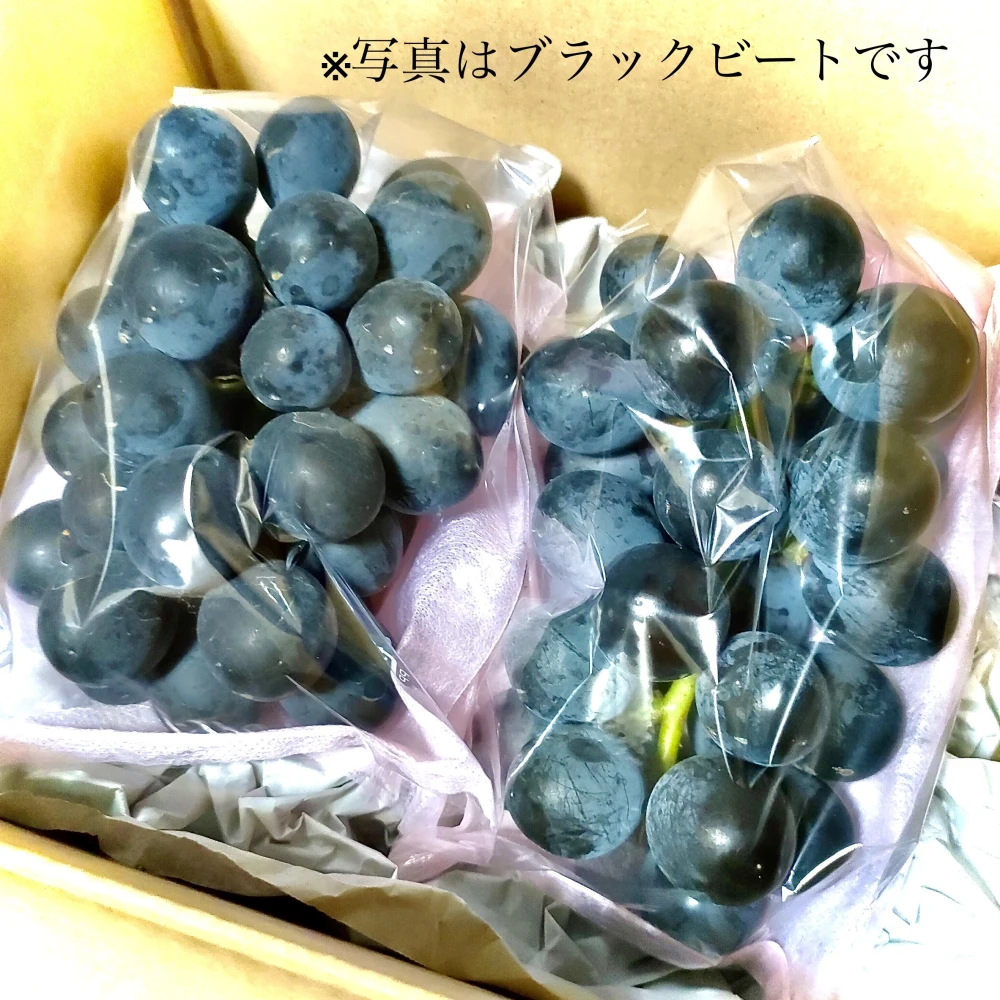 ほんだ屋の「シャインマスカット」500g前後（2房以上）