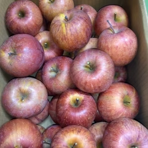 詰め込めるだけ詰め込みます！『ご家庭用小玉ふじりんご約5㎏』