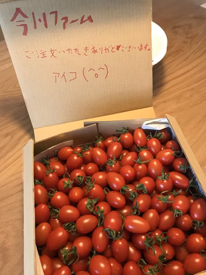 みんなの投稿の画像