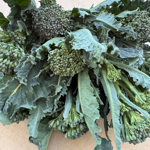 【アマウマ新野菜】「アレッタ」【頂花蕾・脇芽MIX！】