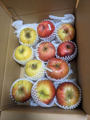 みんなの投稿の画像