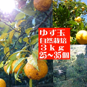 本場高知県産！ゆず玉3ｋｇ（25~35個・農薬：栽培期間中不使用）