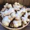 EM育ち！伊豆の生姜【農薬・除草剤・防腐剤不使用】