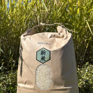 あきたこまち、にじのきらめき、きぬむすめ