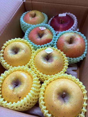 みんなの投稿の画像