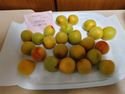 みんなの投稿の画像