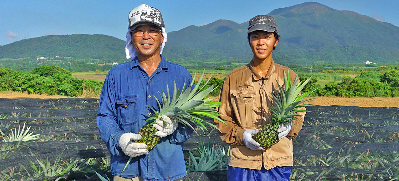 沖縄県石垣市｜農業生産法人ハナナス｜當間勝巳さんのみんなの