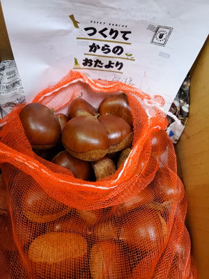 みんなの投稿の画像