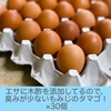 暑さに負けるな、夏タマゴ‼　×40個(若鶏×10＋もみじ×30個)