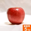 サンふじ　家庭用 5kg 18-25玉　スマートフレッシュ　長野県産