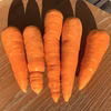 宮崎県綾町産 甘い！人参【農薬 化学肥料不使用】