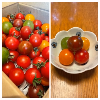 みんなの投稿の画像