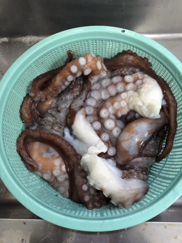 獲れたて秋田男鹿半島のミズダコ