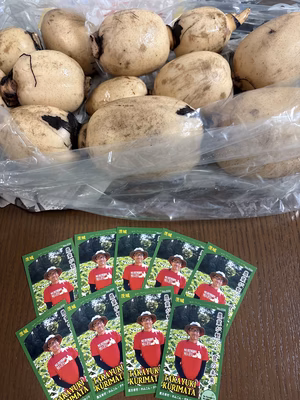 みんなの投稿の画像