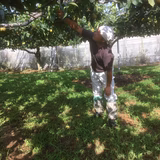 山中由香利 | 山中梨園