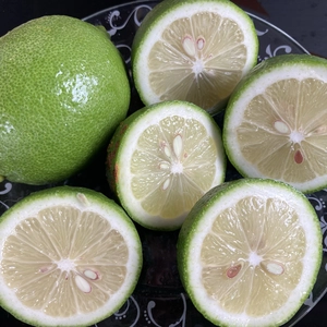 国産レモン訳あり品、璃の香(りのか)県認定特別栽培