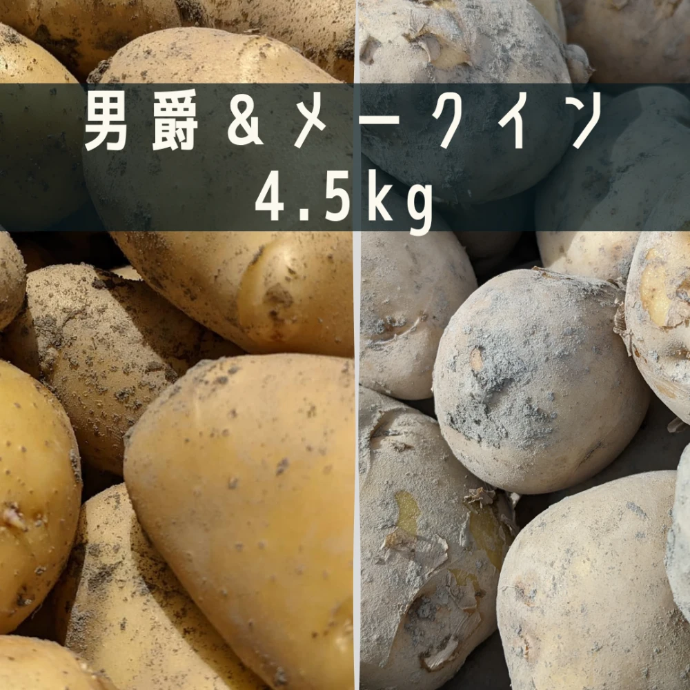 農薬不使用] 男爵＆メークインセット（静岡産新じゃがいも）｜野菜の