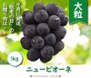 P-1 花笑み農園　岡山の『ニューピオーネ』約１kg（2房）9月上旬～発送