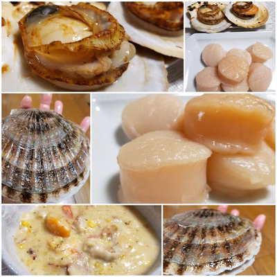 みんなの投稿の画像