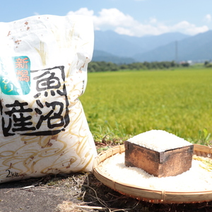南魚沼産コシヒカリ2㎏（精米）と、ちょい悪椎茸セット